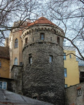  Rapunzel Tower Apartment  Таллинн